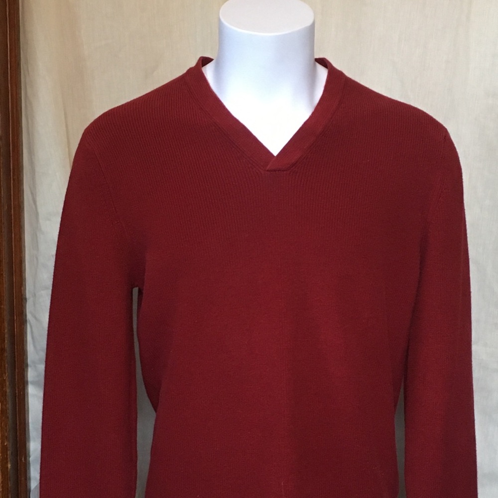 Express red/wine V-neck light sweater